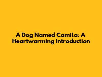 A Dog Named Camila: A Heartwarming Introduction