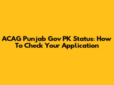 ACAG Punjab Gov PK Status: How To Check Your Application