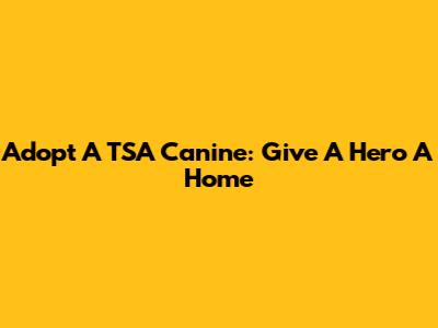 Adopt A TSA Canine: Give A Hero A Home