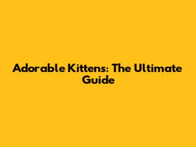 Adorable Kittens: The Ultimate Guide