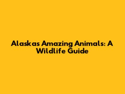 Alaska's Amazing Animals: A Wildlife Guide