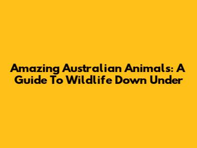 Amazing Australian Animals: A Guide To Wildlife Down Under