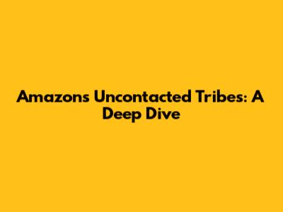 Amazon's Uncontacted Tribes: A Deep Dive