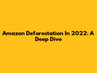 Amazon Deforestation In 2022: A Deep Dive