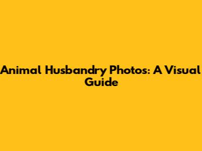 Animal Husbandry Photos: A Visual Guide