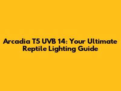 Arcadia T5 UVB 14: Your Ultimate Reptile Lighting Guide