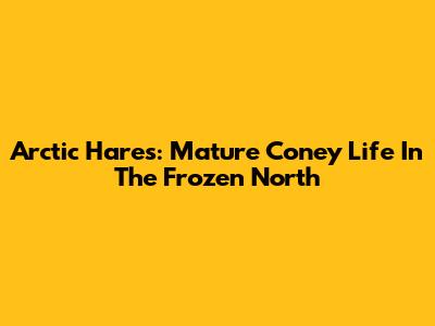 Arctic Hares: Mature Coney Life In The Frozen North