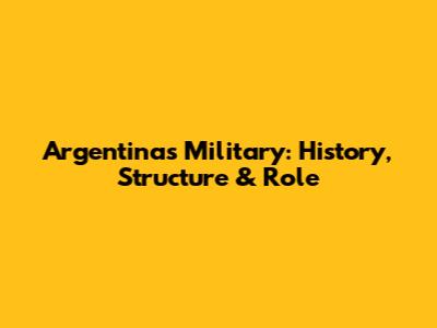 Argentina's Military: History, Structure & Role