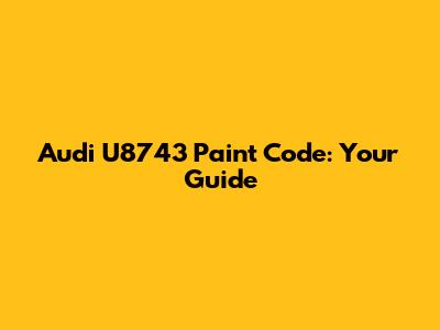 Audi U8743 Paint Code: Your Guide