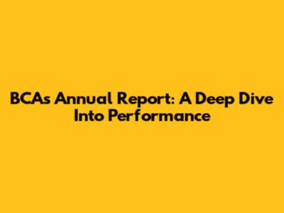 BCA's Annual Report: A Deep Dive Into Performance