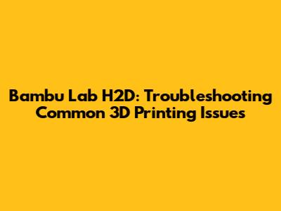 Bambu Lab H2D: Troubleshooting Common 3D Printing Issues