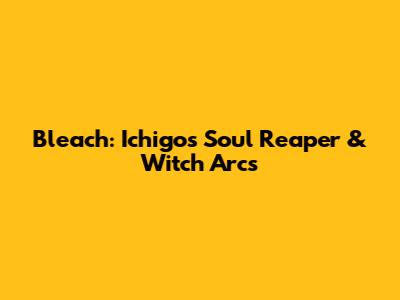Bleach: Ichigo's Soul Reaper & Witch Arcs