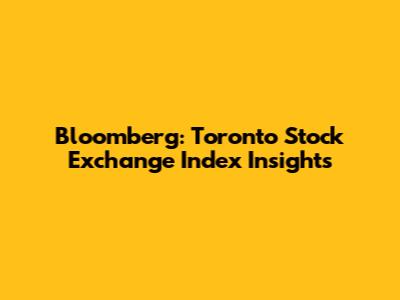 Bloomberg: Toronto Stock Exchange Index Insights