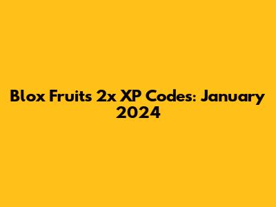 Blox Fruits 2x XP Codes: January 2024