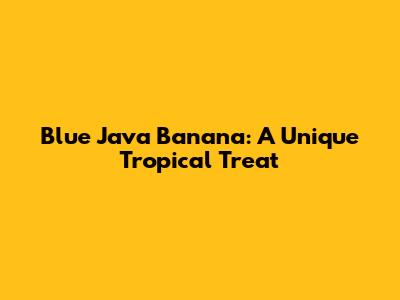 Blue Java Banana: A Unique Tropical Treat