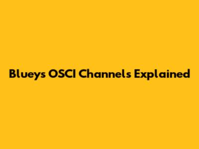 Bluey's OSCI Channels Explained