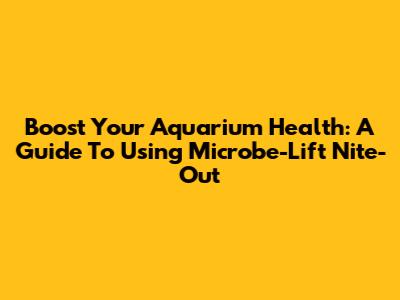 Boost Your Aquarium Health: A Guide To Using Microbe-Lift Nite-Out