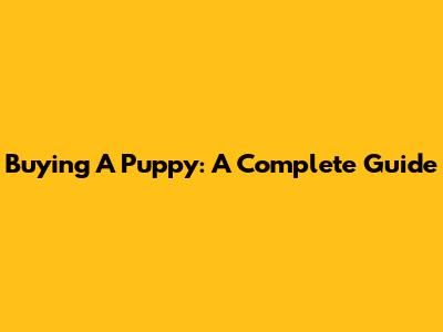 Buying A Puppy: A Complete Guide