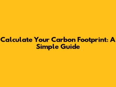 Calculate Your Carbon Footprint: A Simple Guide