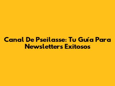 Canal De Pseilasse: Tu Guía Para Newsletters Exitosos