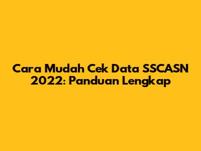 Cara Mudah Cek Data SSCASN 2022: Panduan Lengkap