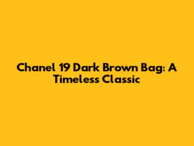 Chanel 19 Dark Brown Bag: A Timeless Classic