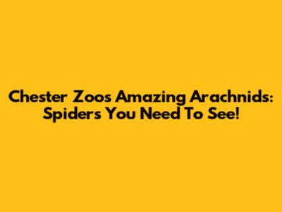 Chester Zoo's Amazing Arachnids: Spiders You Need To See!