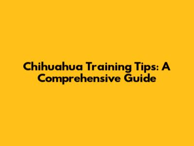 Chihuahua Training Tips: A Comprehensive Guide