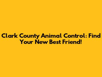 Clark County Animal Control: Find Your New Best Friend!