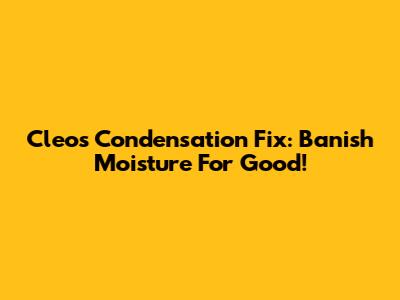 Cleo's Condensation Fix: Banish Moisture For Good!
