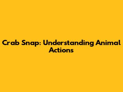 Crab Snap: Understanding Animal Actions