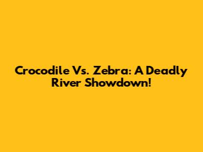 Crocodile Vs. Zebra: A Deadly River Showdown!