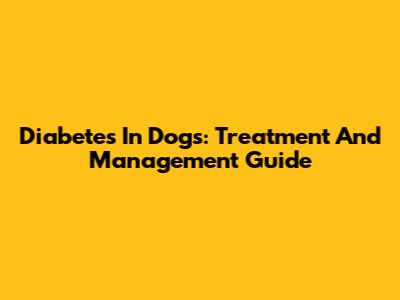Diabetes In Dogs: Treatment And Management Guide