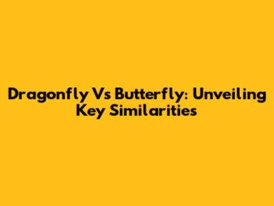 Dragonfly Vs Butterfly: Unveiling Key Similarities