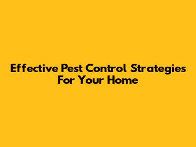 Effective Pest Control Strategies For Your Home