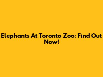 Elephants At Toronto Zoo: Find Out Now!