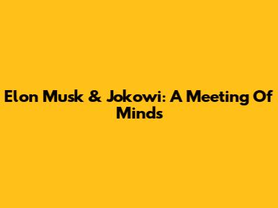 Elon Musk & Jokowi: A Meeting Of Minds