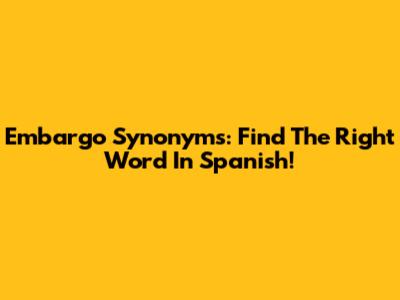 Embargo Synonyms: Find The Right Word In Spanish!