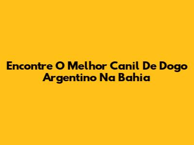 Encontre O Melhor Canil De Dogo Argentino Na Bahia