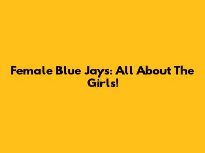 Female Blue Jays: All About The Girls!