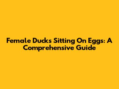 Female Ducks Sitting On Eggs: A Comprehensive Guide