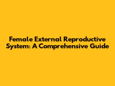 Female External Reproductive System: A Comprehensive Guide