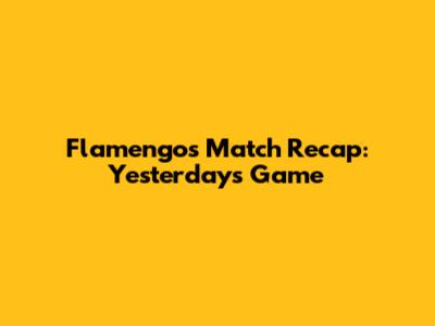 Flamengo's Match Recap: Yesterday's Game