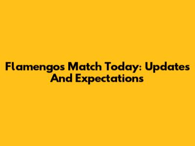 Flamengo's Match Today: Updates And Expectations