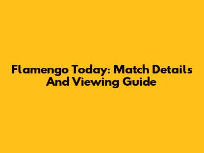 Flamengo Today: Match Details And Viewing Guide