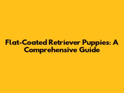 Flat-Coated Retriever Puppies: A Comprehensive Guide