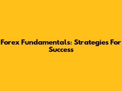 Forex Fundamentals: Strategies For Success