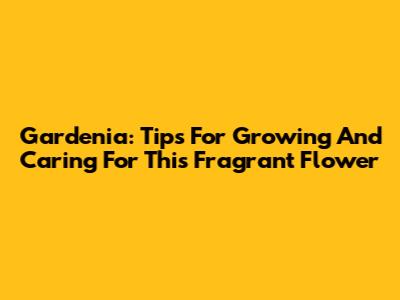 Gardenia: Tips For Growing And Caring For This Fragrant Flower
