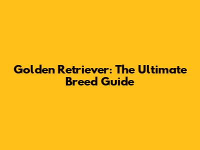 Golden Retriever: The Ultimate Breed Guide
