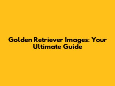 Golden Retriever Images: Your Ultimate Guide